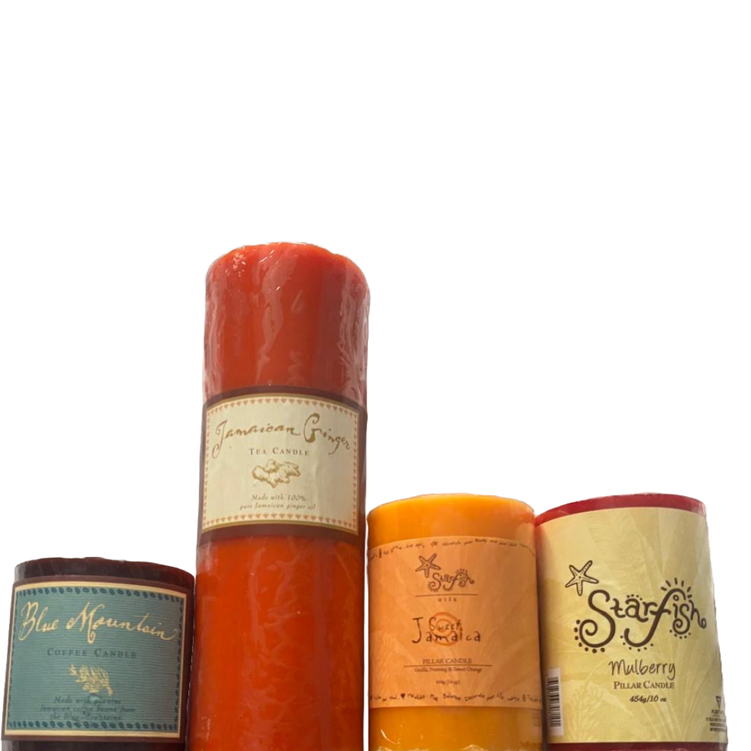 Starfish Ginger Candle