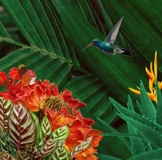 Glass Kitchen Worktops