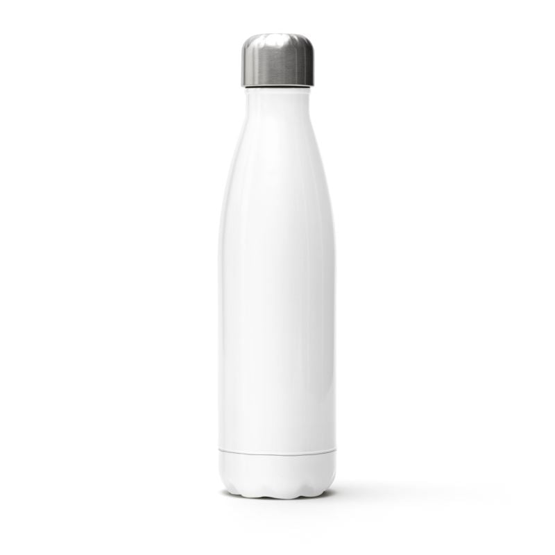 Stainless Steel Thermal Bottle